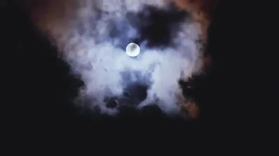 Whitesnake - Yours For The Asking (Official Music Video)