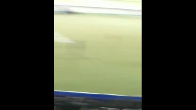 Rosario Central Fans