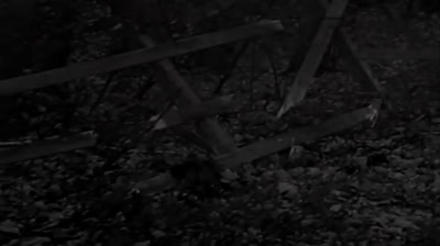 Whitesnake - Slow An' Easy - The BLUES Album 2021 Remix (HD Official Video)