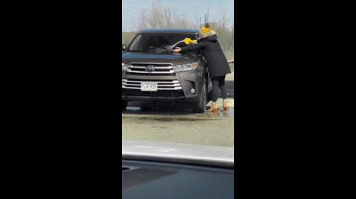 Tutorial su come NON pulire l'auto con la benzina