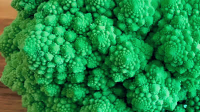 How Sacred Geometry is embedded in Your DNA - Secrets of Geometric Art