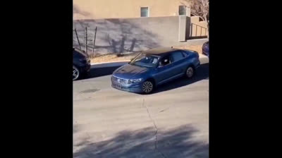 Vídeo viral de una mujer aparcando