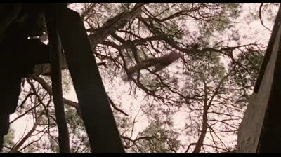 puente a tiera villa